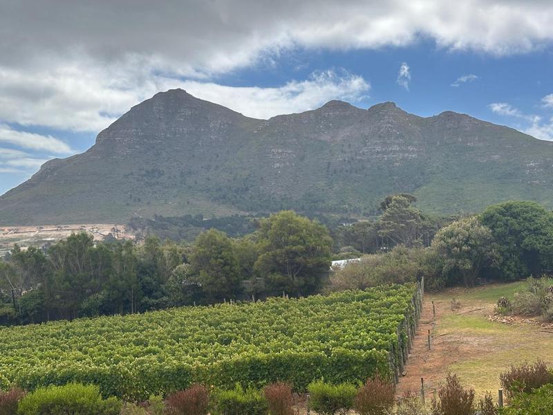 To Let 3 Bedroom Property for Rent in Noordhaven Western Cape